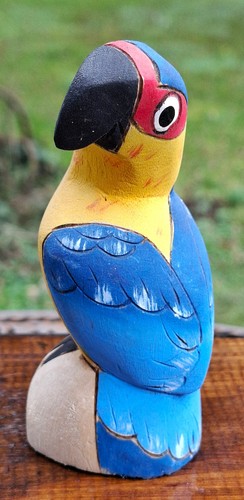 Ara papagei vogel bunt balsa - vogel,